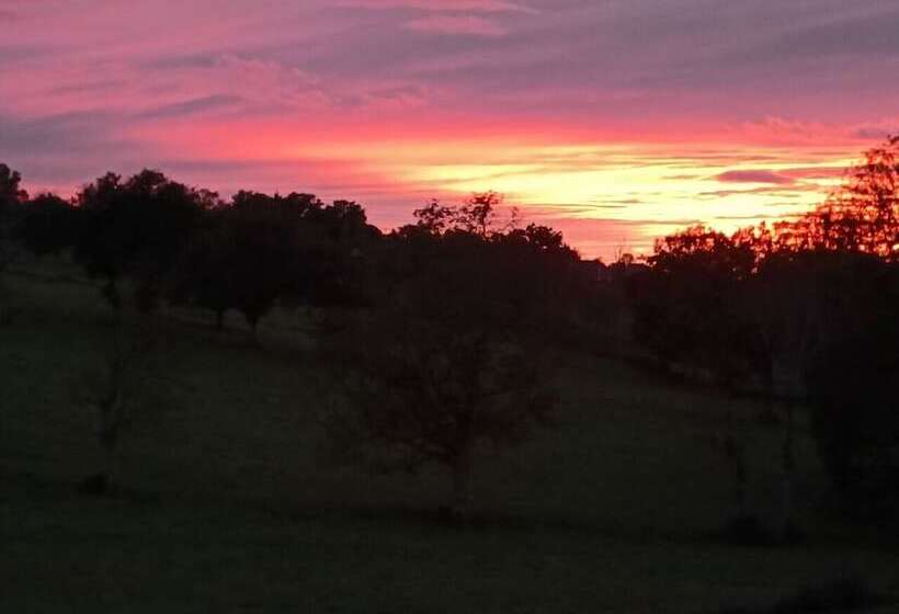 住宿加早餐 Christine Scuflaire