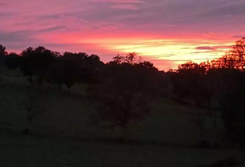 Aamiaismajoitus (B&B) Christine Scuflaire