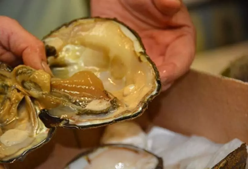 Birdsong Resort Marina Lakeside Rv