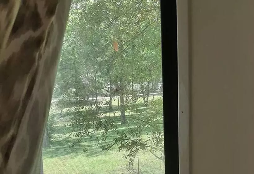 Birdsong Resort Marina Lakeside Rv