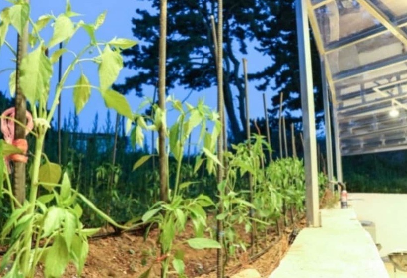 Daebudo I Am Pension