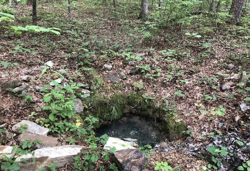 Hickory Hill Cabin Rentals