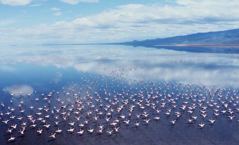 فندق Africa Safari Lake Natron Camping