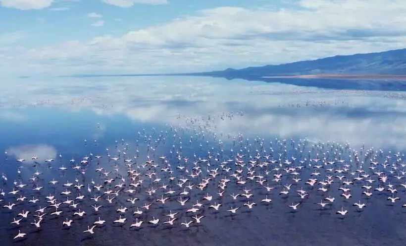 Hotelli Africa Safari Lake Natron Camping