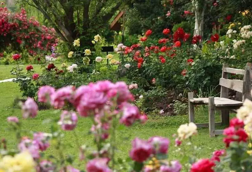 هتل Ayun Fort Inn