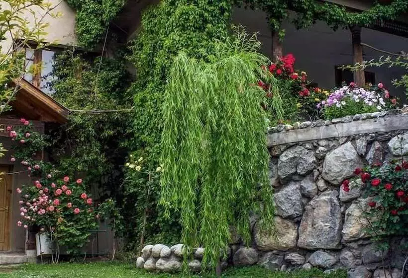 هتل Ayun Fort Inn