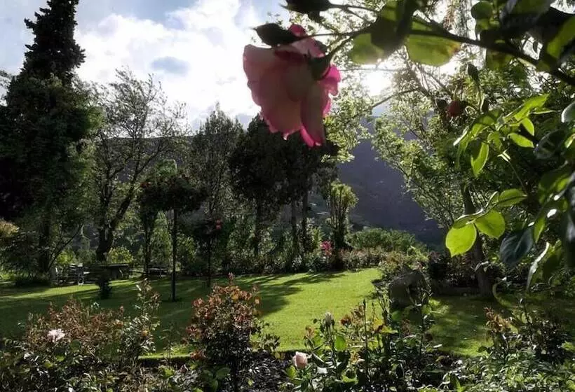 هتل Ayun Fort Inn