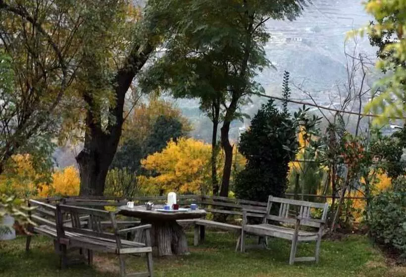 هتل Ayun Fort Inn