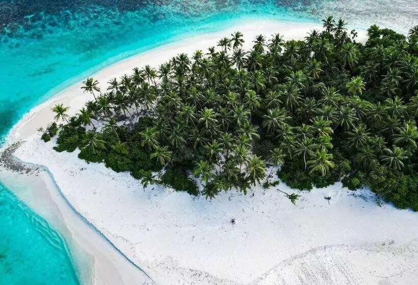 Blue Wave Hotel Maldives