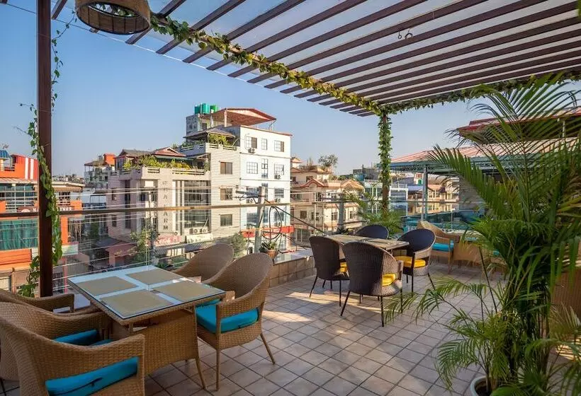 هتل Dream International