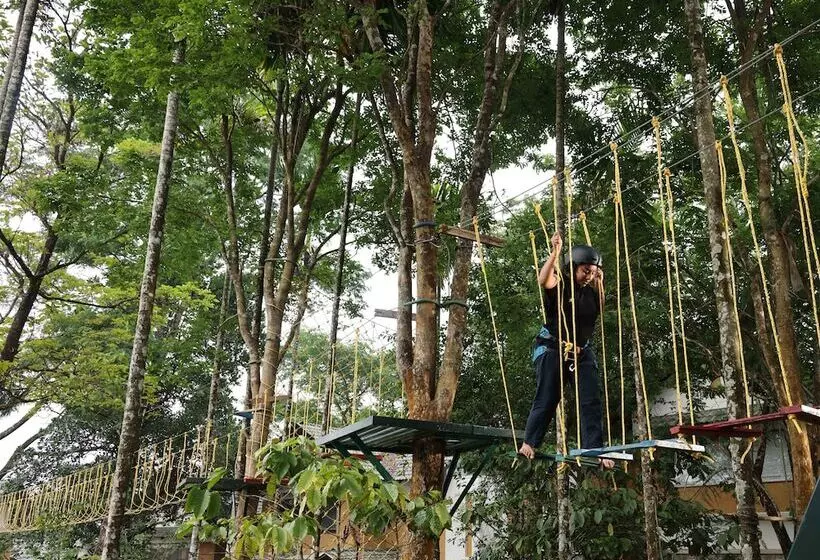 ホテル Great Trails Wayanad By Grt