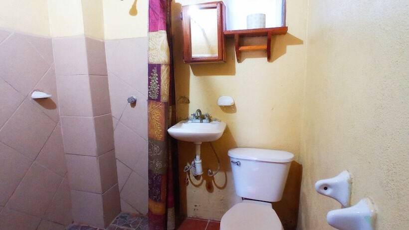 ホテル Iguana Loca Apartments & Bungalows