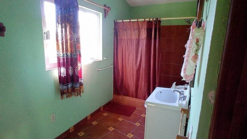 ホテル Iguana Loca Apartments & Bungalows