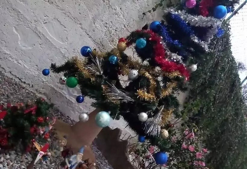 Residenssi An Oasi For Traveller Close To The Lake And Lugano