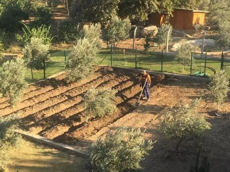 Teos Garden Retreat Hotel   Adults Only