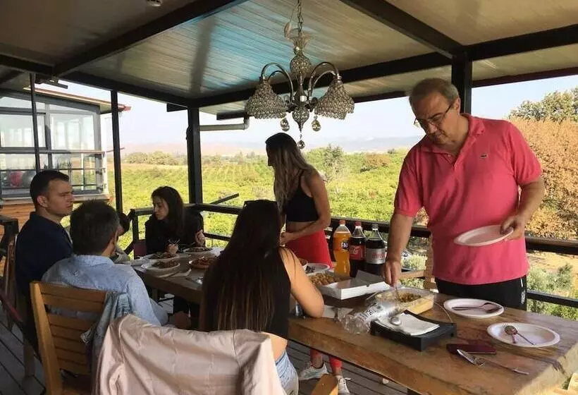 Teos Garden Retreat Hotel   Adults Only