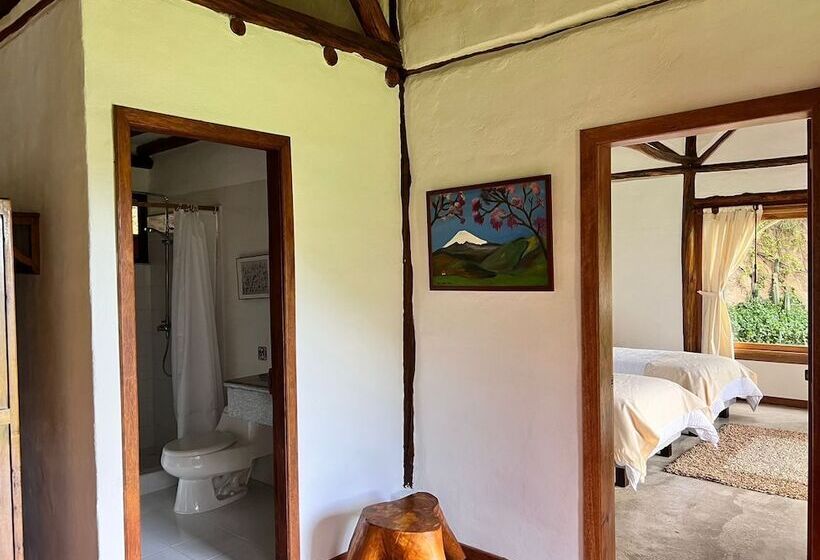 Nocleg ze śniadaniem Casa Ilayaku