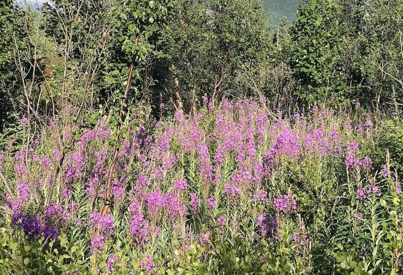 Denali Rv Park And Motel
