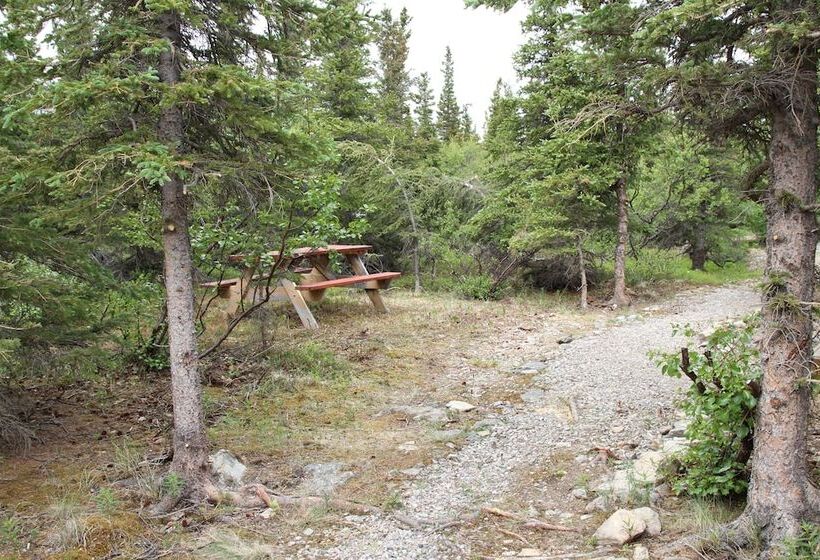 Denali Rv Park And Motel