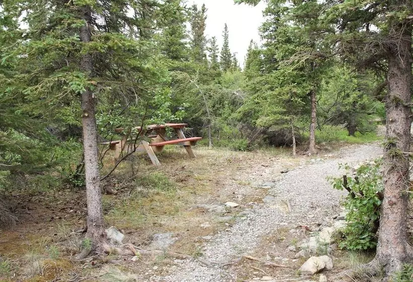 Denali Rv Park And Motel