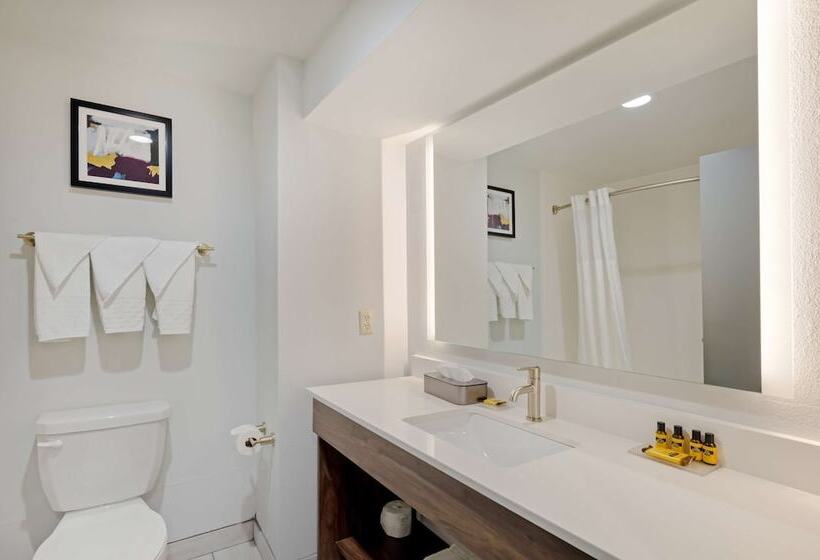 酒店 Best Western Plus Harrisonburg