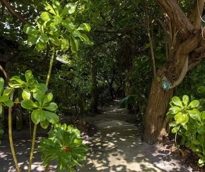 هتل Mi Lugar Retreat And Spa