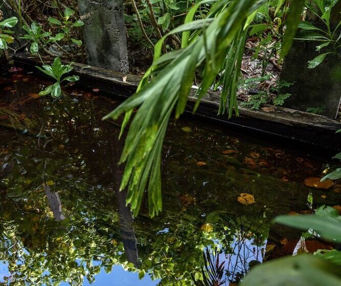 هتل Mi Lugar Retreat And Spa