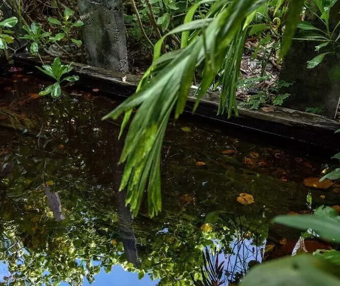 هتل Mi Lugar Retreat And Spa