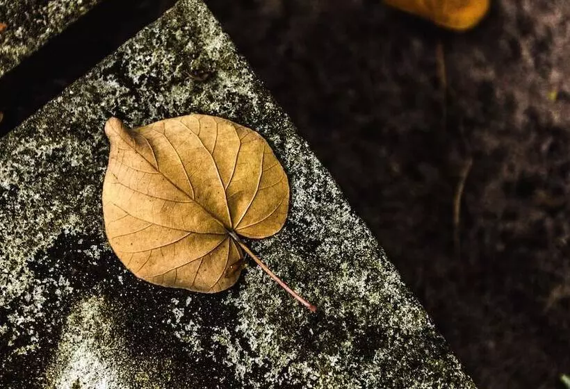 هتل Mi Lugar Retreat And Spa