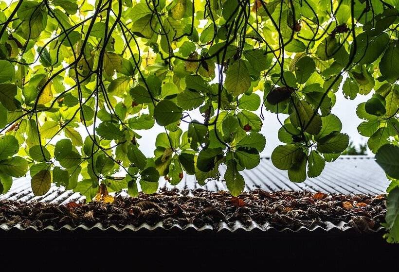 هتل Mi Lugar Retreat And Spa