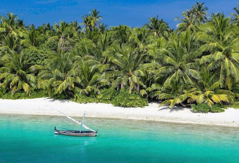 هتل Mi Lugar Retreat And Spa