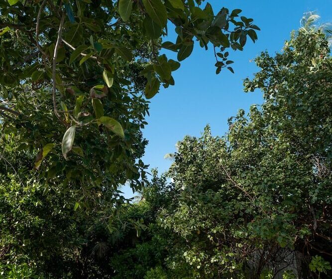 هتل Mi Lugar Retreat And Spa