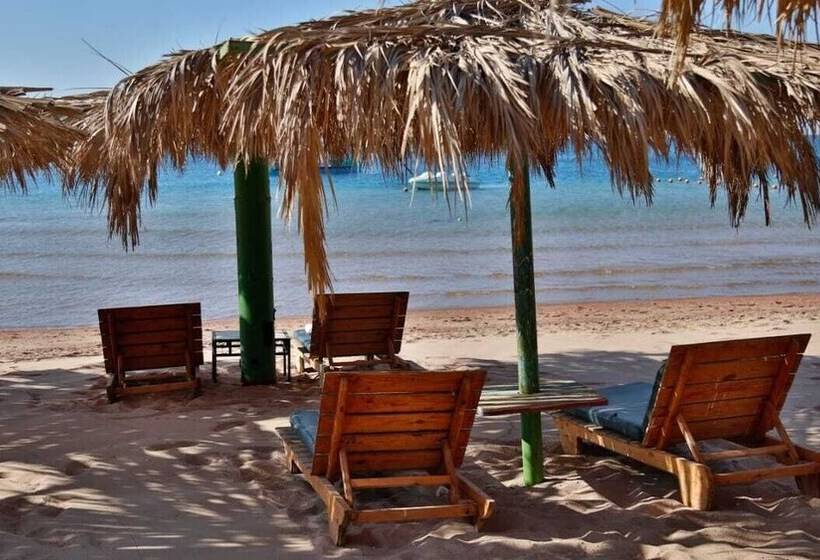 هتل Panda Dahab Resort