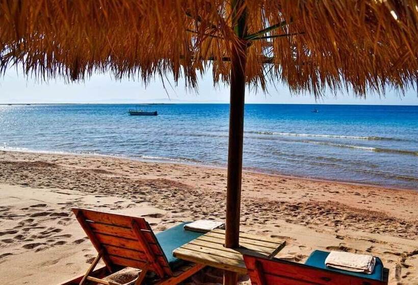 هتل Panda Dahab Resort