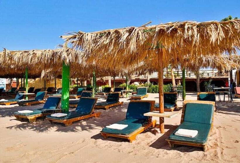 هتل Panda Dahab Resort