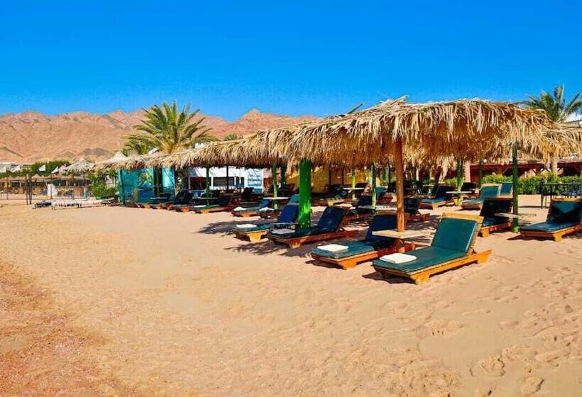 هتل Panda Dahab Resort