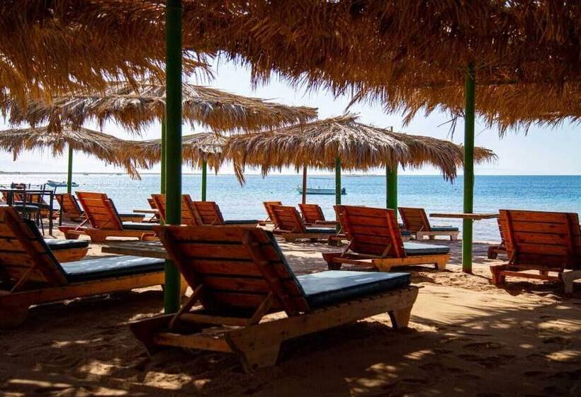 هتل Panda Dahab Resort