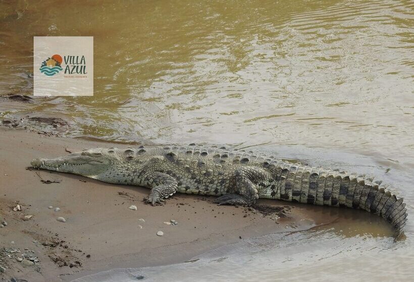 Отель Villas Azul