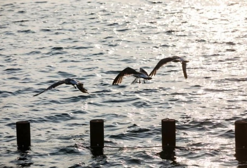 Namhae Badatga Byeoljang Pension