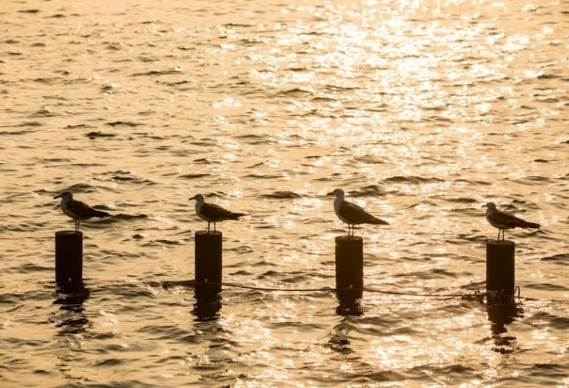 Namhae Badatga Byeoljang Pension