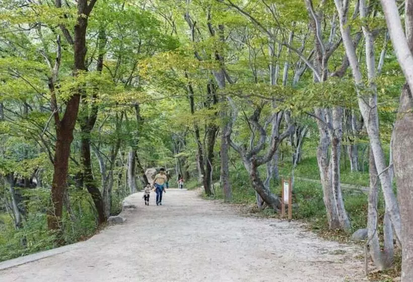 ペンション Pohang Unipool Villa