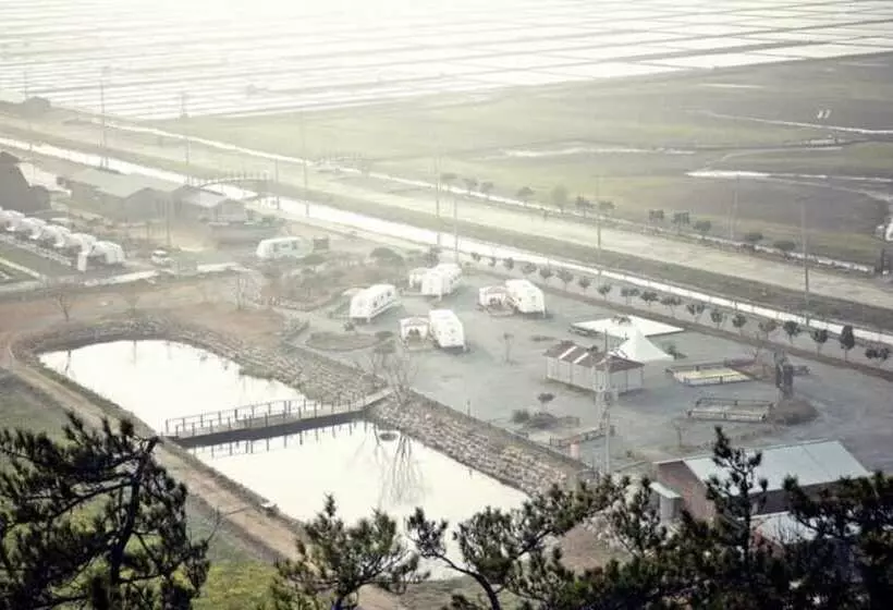 ペンション Shinan Sea Salt Healing Camp