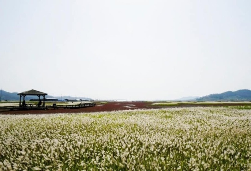 Pensão Shinan Sea Salt Healing Camp