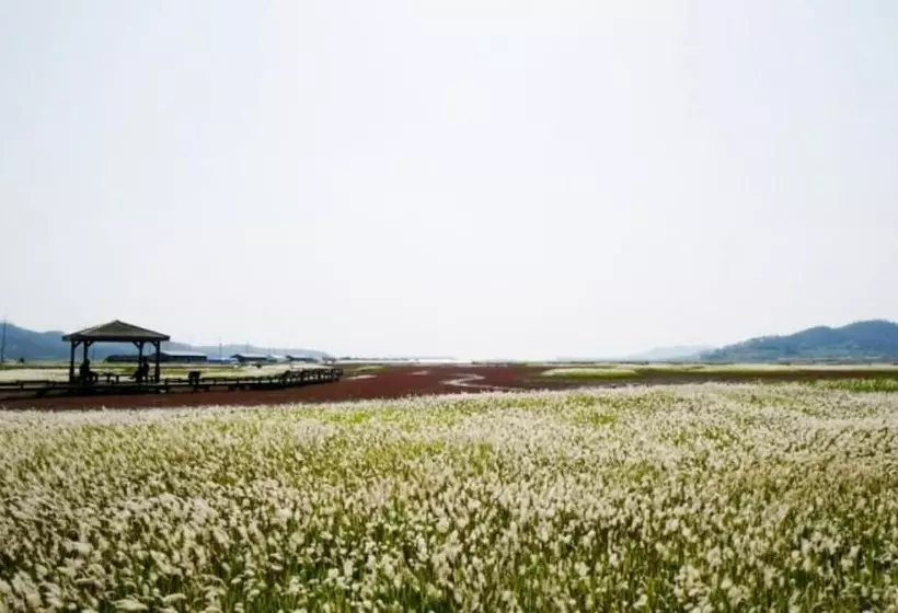 ペンション Shinan Sea Salt Healing Camp