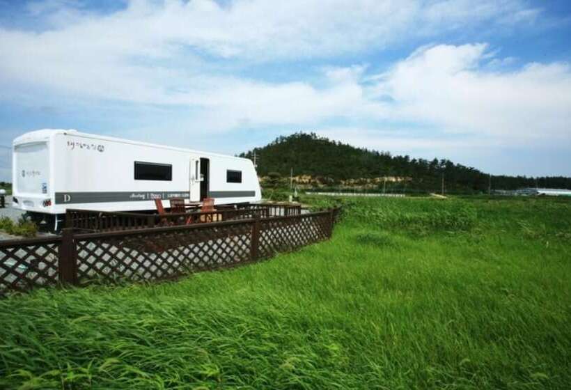 Pensão Shinan Sea Salt Healing Camp