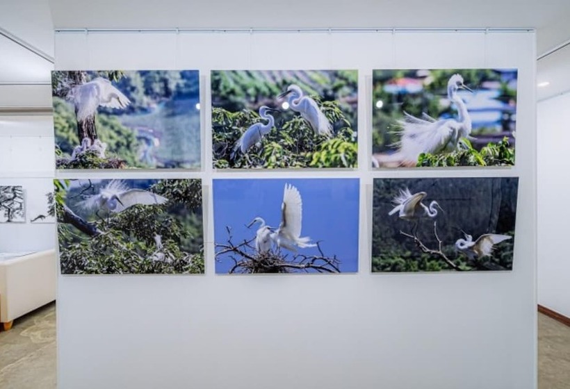 Pohang Cheonnyeonbawi Pension