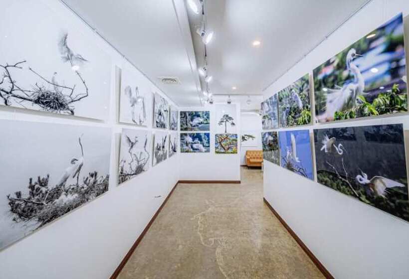 Pohang Cheonnyeonbawi Pension