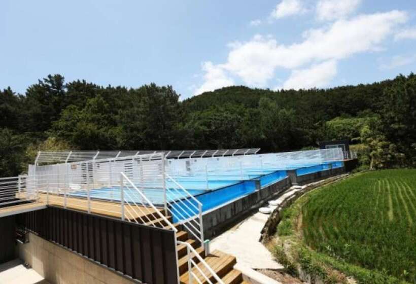 Pohang Cheonnyeonbawi Pension