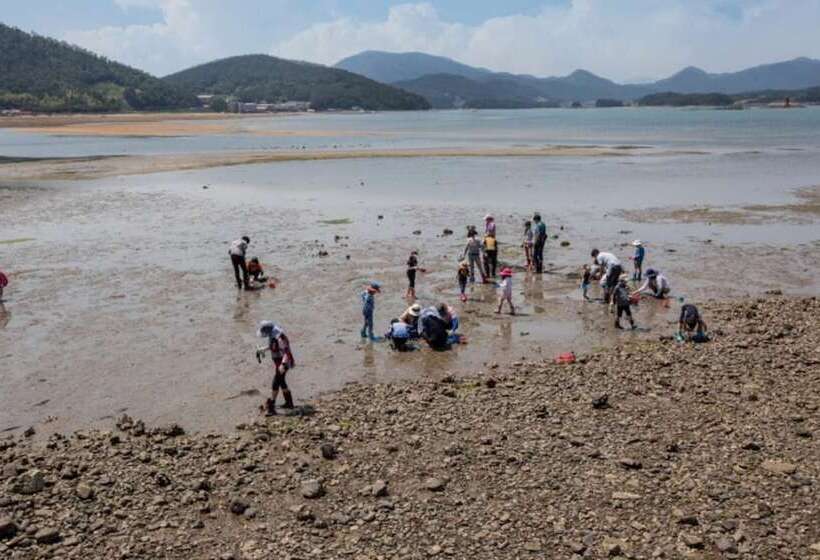 Sacheon Bichae Pension