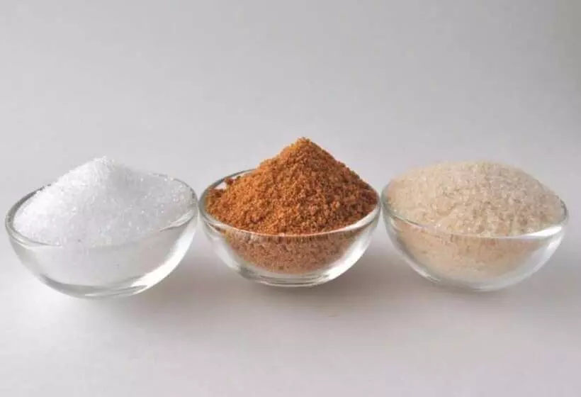 Sacheon Bichae Pension